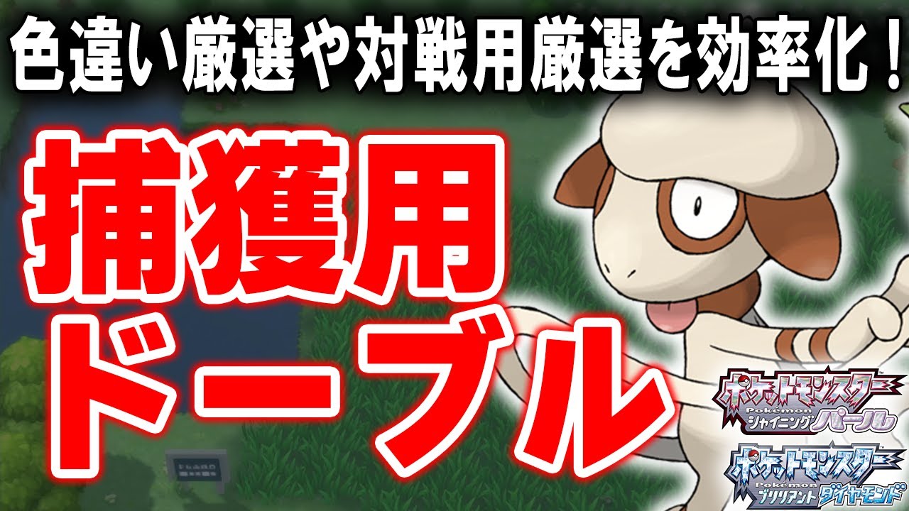 【ダイパリメイク】捕獲用ドーブルの作り方を捕獲から育成まで解説！色違い厳選＆対戦育成＆ポケトレに必須級の１匹！【ポケモンBDSP】