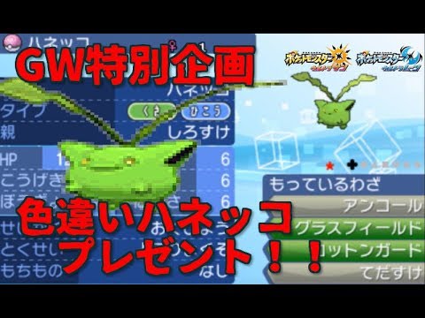 【ポケモンUSUM】GW特別企画！色違いハネッコプレゼント！！