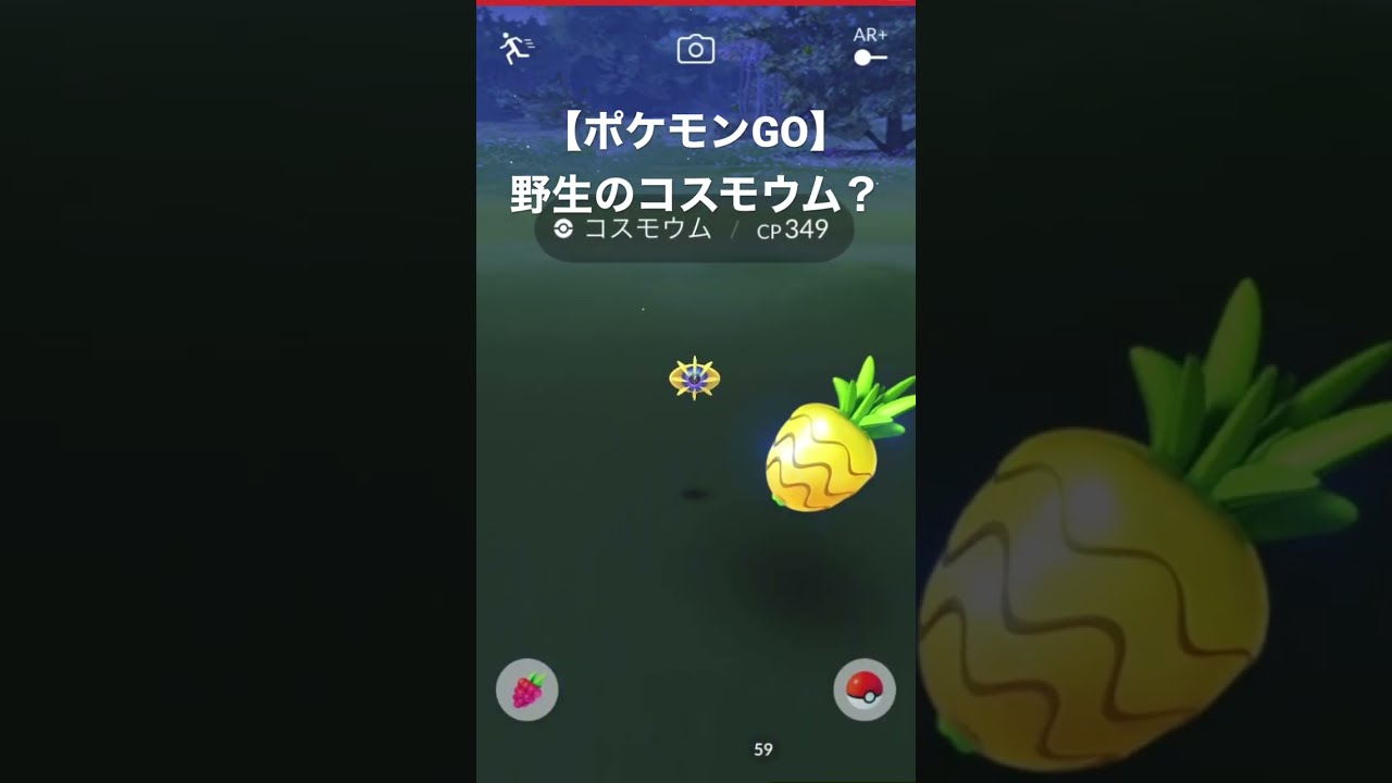 【ポケモンGO】野生のコスモウム？ #shorts #ポケモンGO