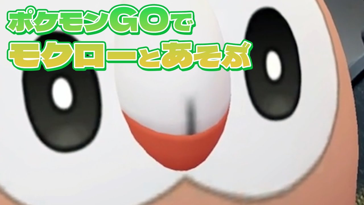 【ポケモンGO】モクローと遊ぼうね