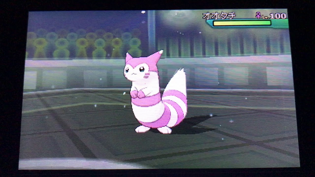 【ポケモンUSUM】バイバニラ統一　VS　オオタチ統一 1戦目【ウルトラスーパーハイパーチャレンジ】