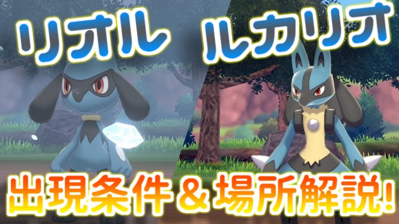 【ポケモン剣盾】確定出現！リオル、ルカリオが欲しい人必見！！出現率100％でルカリオに会う方法！【ポケットモンスター ソード・シールド】