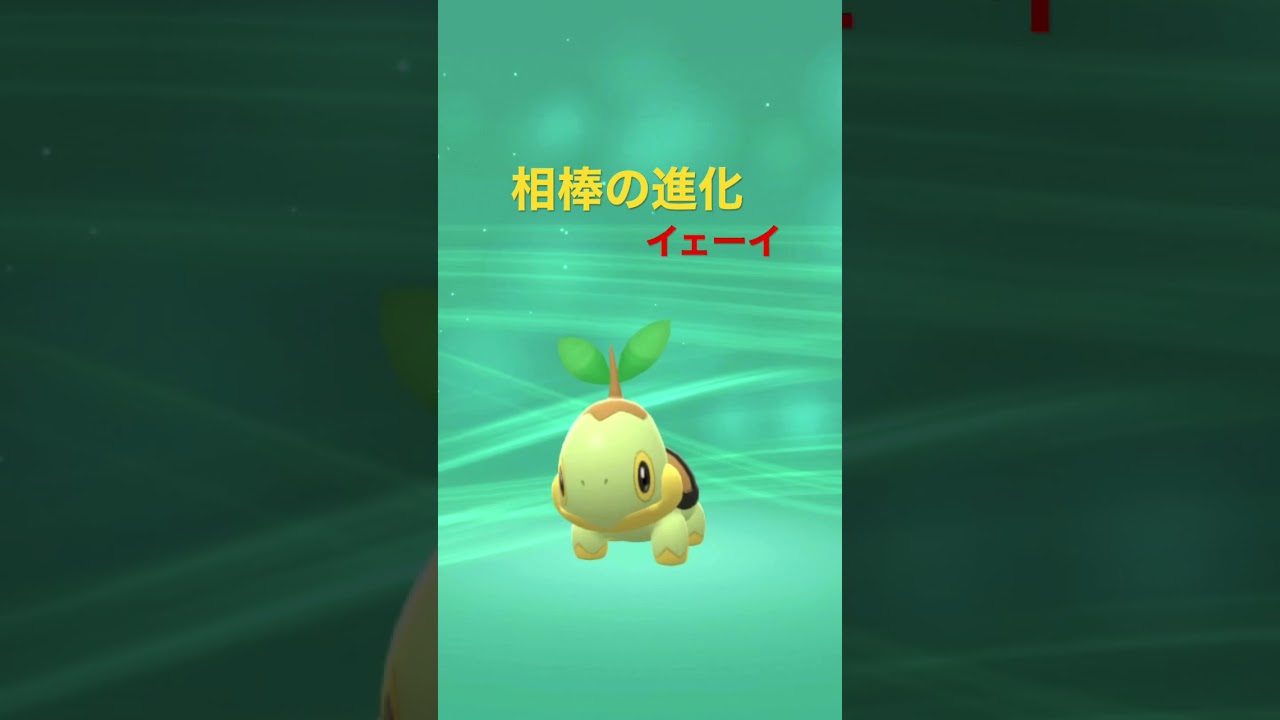 ［ポケットモンスター］ナエトルの進化だぜ！#ナエトル#ポケモン#ポケットモンスター#ちょっとシンオウ地方行ってみた#ダイアモンドパール #リメイク#DP#BD#SP#進化#裏技#バグ#ゲームフリーク