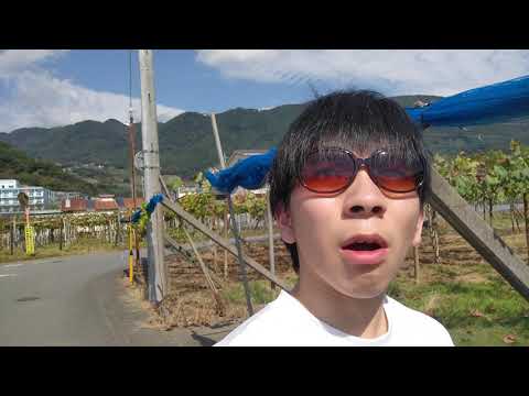 ついに新種のヨマワルゲットしました。ポケモンゲットだぜ！