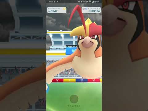 【ポケGO 2023】047：ソロレイド「メガピジョット」はがねのつばさ・ブレイブバード：[04:43]ソロでも雨なら行ける