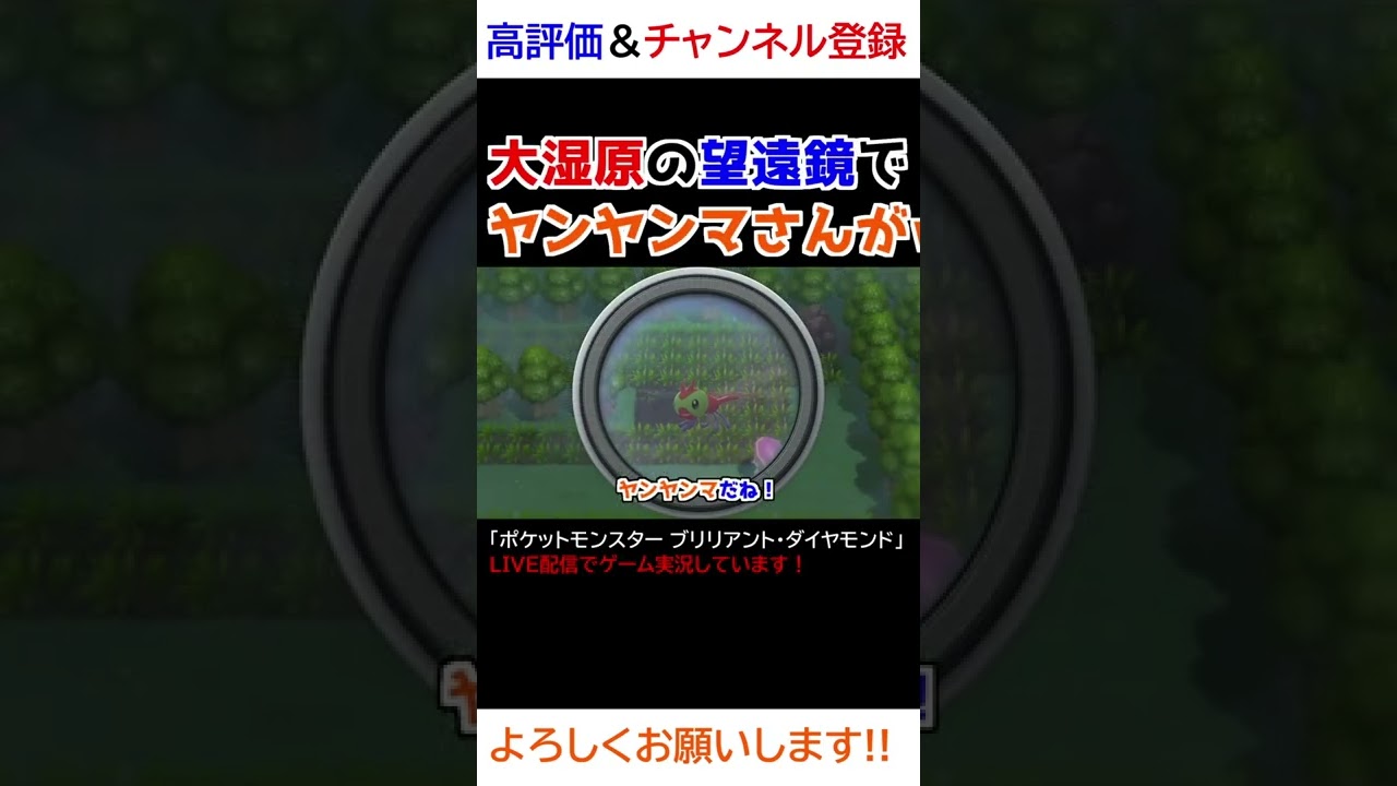 大湿原の望遠鏡でヤンヤンマさんがｗｗｗｗ【ダイパリメイク】