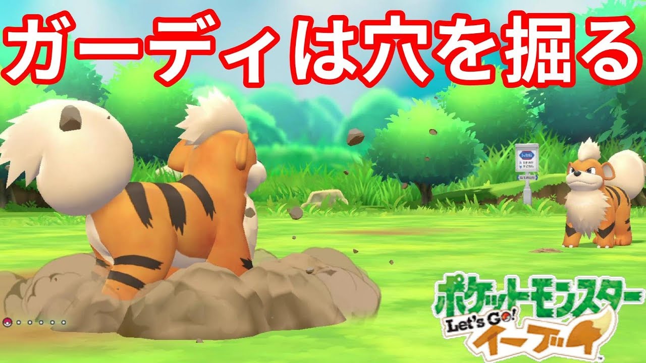 子犬だけど穴を掘るガーディ！？【ポケモンLet'sGO！イーブイ】