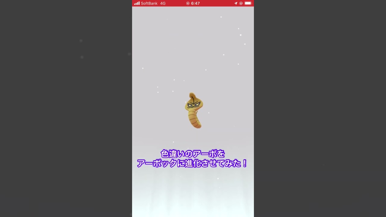 色違いのアーボをアーボックに進化させてみた！　#ポケモンGO #色違い