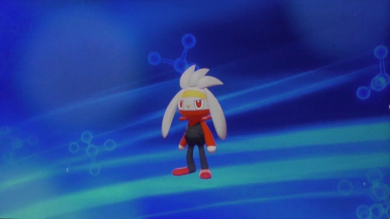 【ポケモン ソードシールド】ラビフット進化【ヒバニー エースバーン】