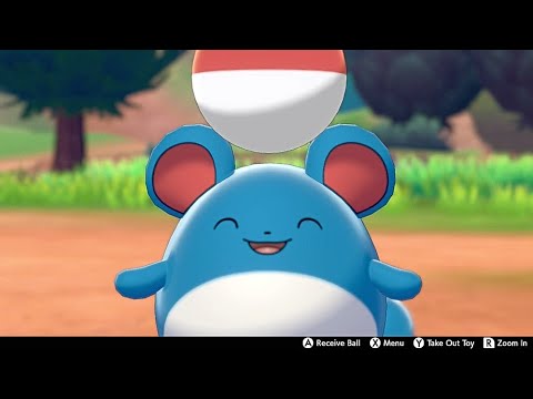 マリル イン キャンプ - ポケモン ソード &;シールド