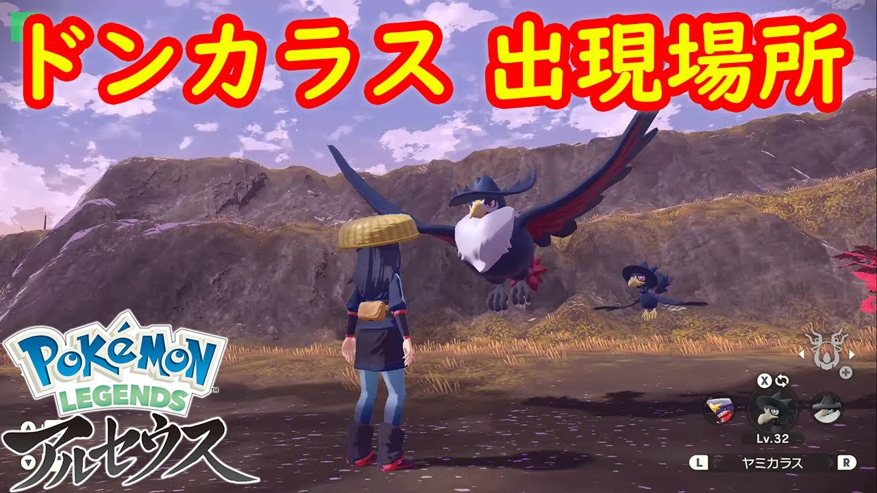 【オヤブン ドンカラス】出現場所 入手方法 攻略  【Pokémon LEGENDS アルセウス ポケモン レジェンズ アルセウス】