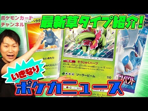 【ポケモンカード初出情報】おもしろ特性！メガニウム＆ヘラクロス