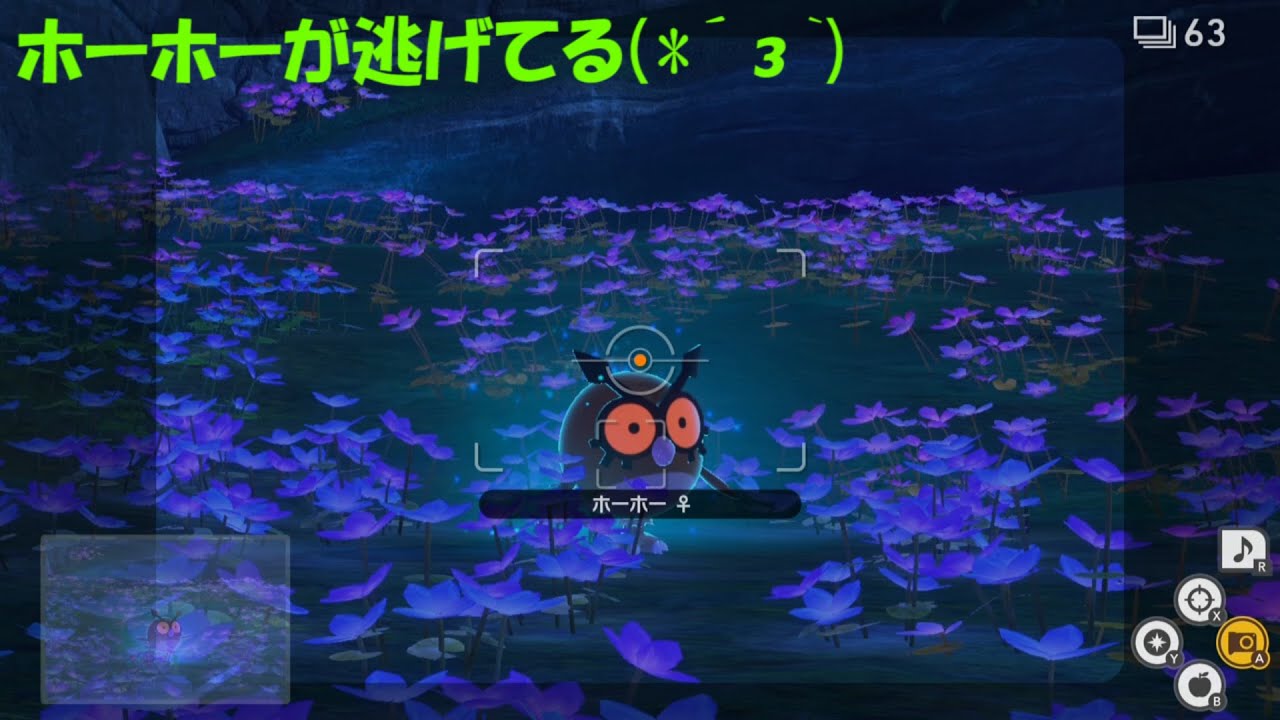 ホーホーが逃げる(*´з`)/ (ポケモン ショート動画)　part135  #Shorts