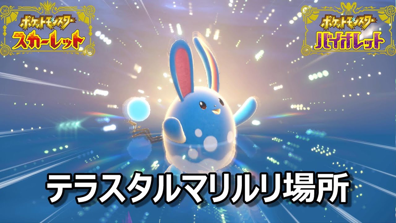【ポケモンSV】テラスタルマリルリ場所　野生テラスタル＃４１【スカーレット・バイオレット】