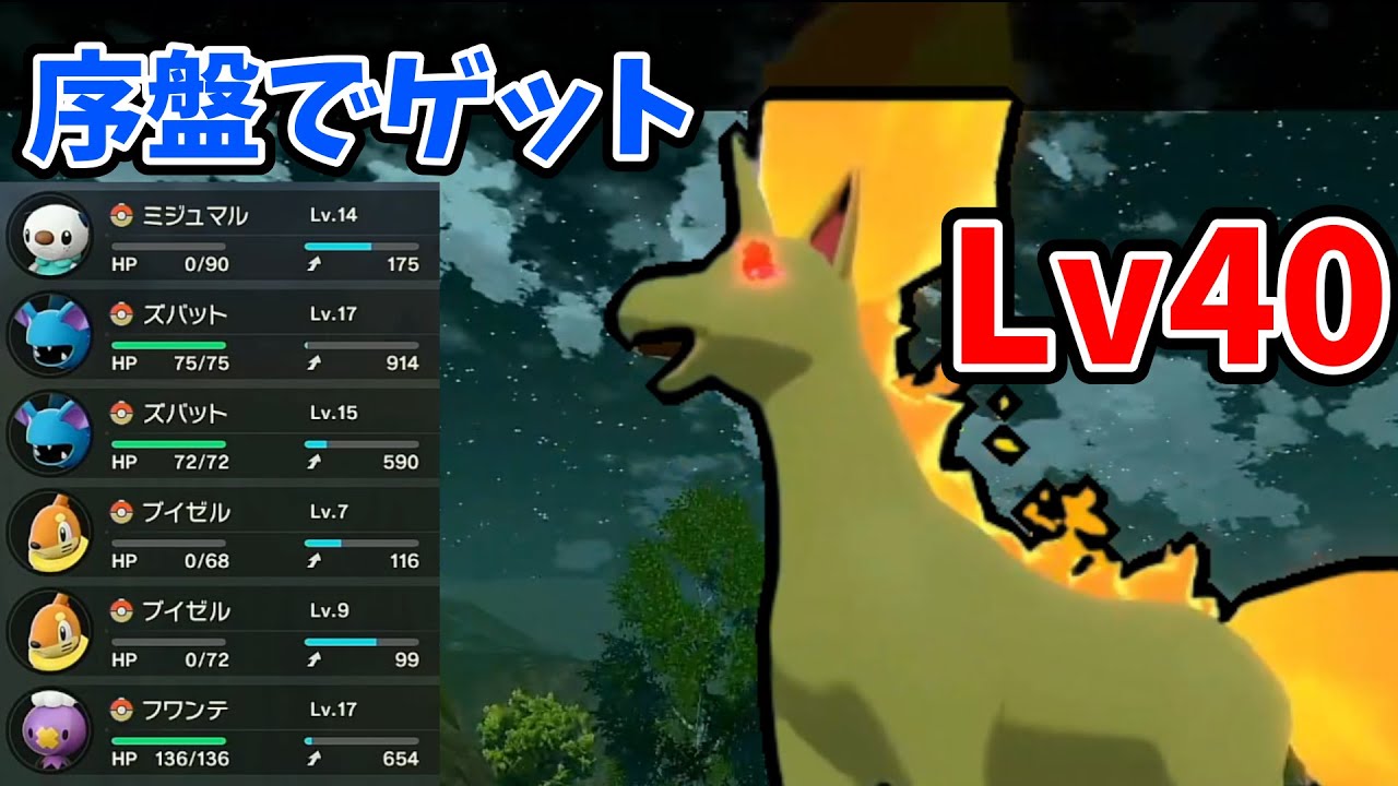 「攻略」Lv20以下でオヤブン野生のギャロップをゲットする方法がやばすぎる！「ポケモンレジェンズアルセウス、アルセウスレジェンズ」