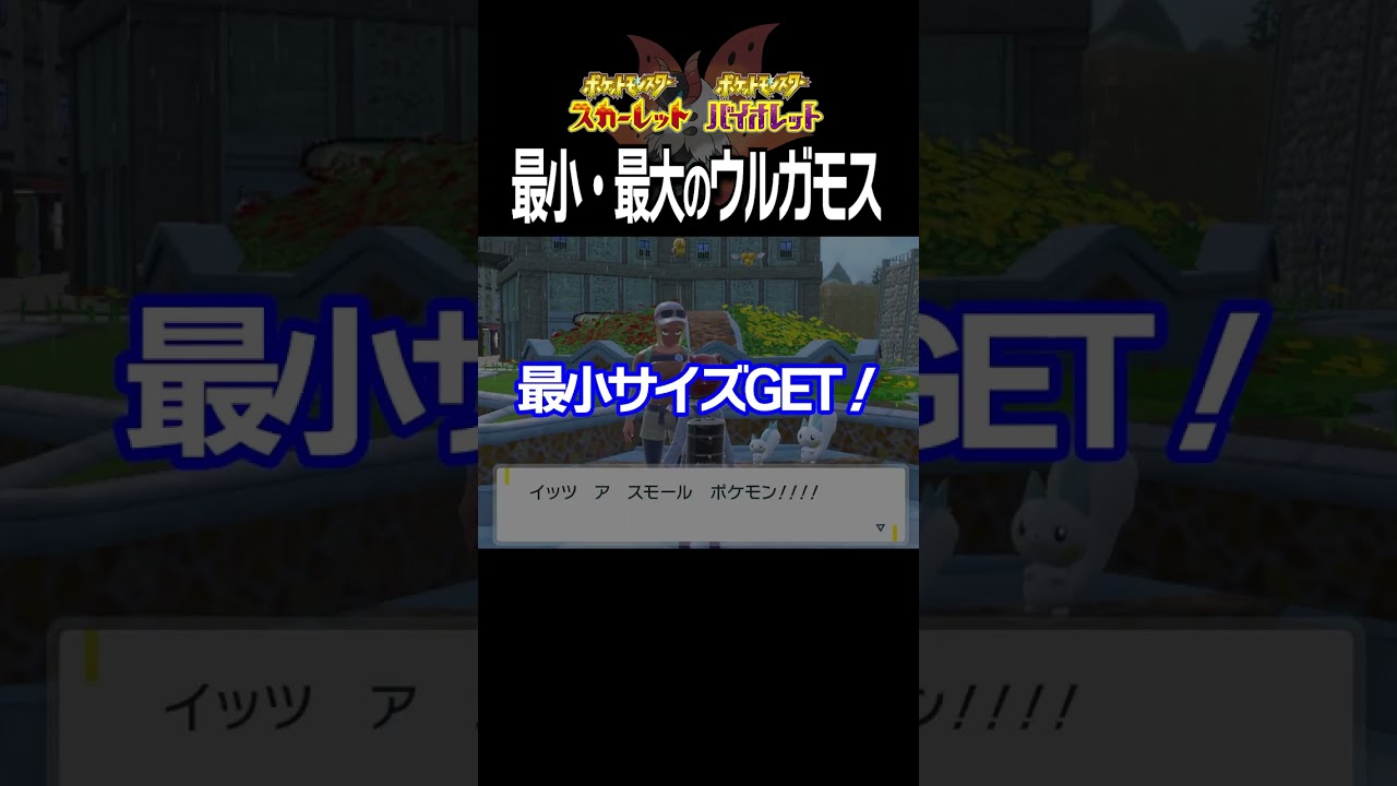 【大きさ比較】ウルガモス編【ポケモンSV】#Shorts