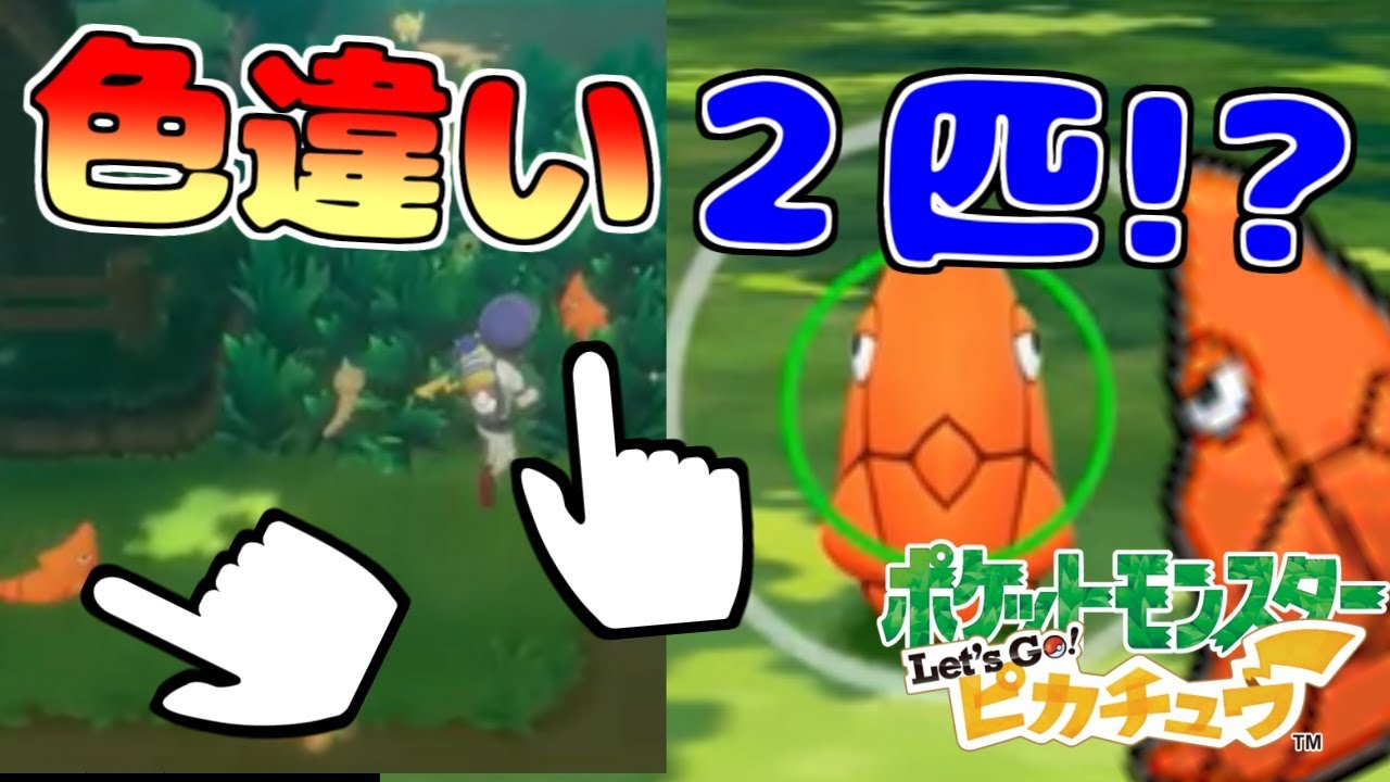 【色違い２匹!?】トランセルを400匹以上捕まえた犯〇者ポケモントレーナーの末路【ポケモンLet's GO!ピカチュウ&イーブイ】レッツゴーピカブイ