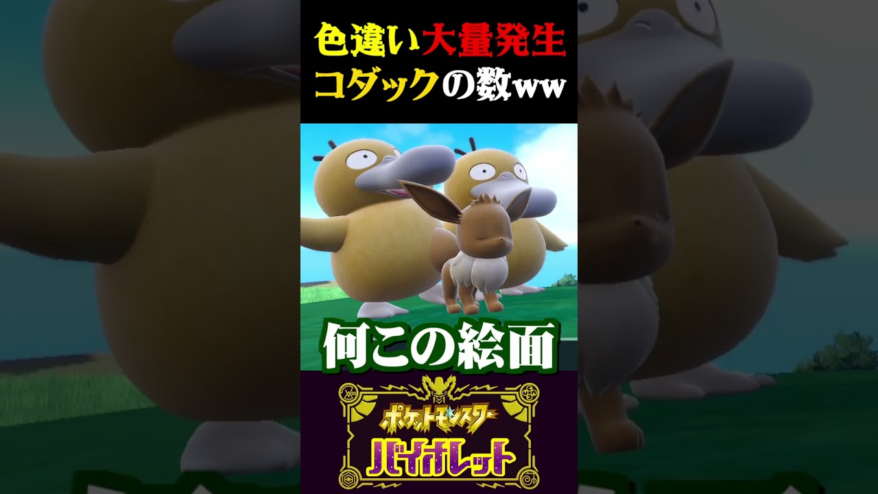 【色違い大量】僕よりコダックの色違い持ってる人いる？【ポケモンSV】【スカーレット・バイオレット】【うさごん】