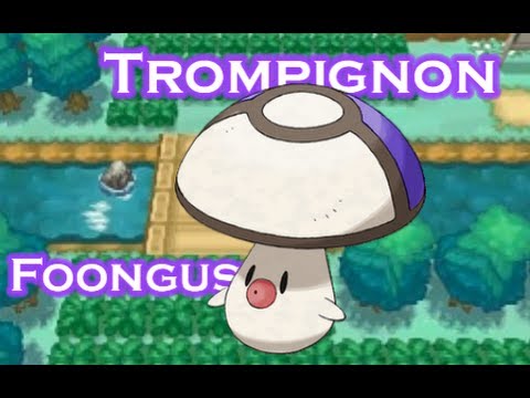 【初FR】シャイニートロンピニオン/フンガス/たまげたけ