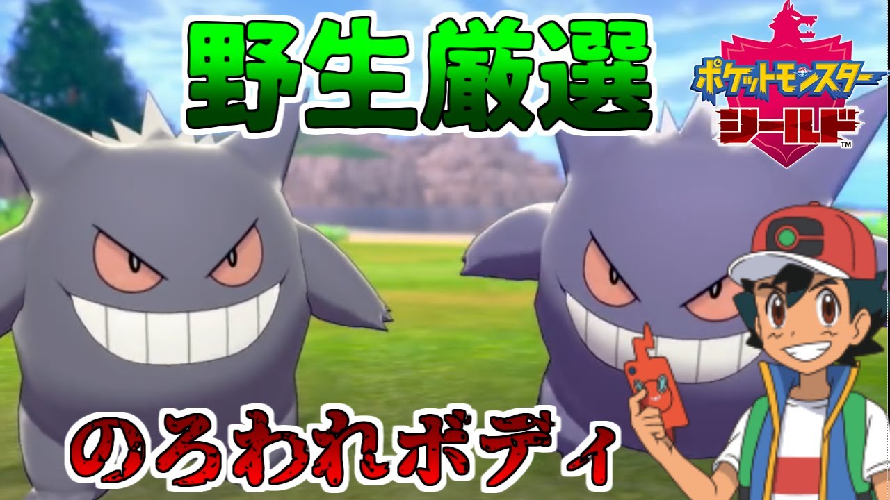 【ポケモン剣盾】色違いゲンガ―求めてゴースの野生厳選したら楽勝だったｗ【ゆっくり実況】