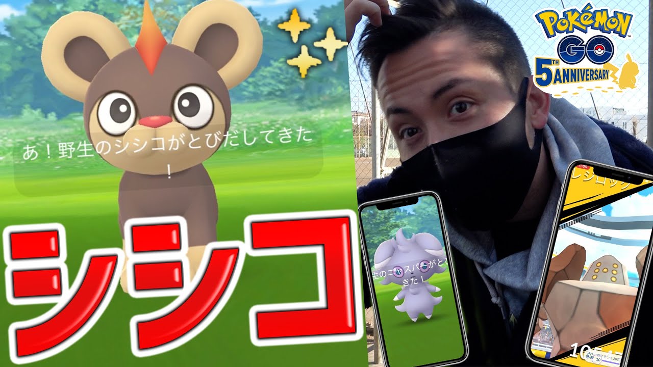 シシコ色違い実装！ニャスパーも今日から狙える！旧正月イベントで〇〇が狙い目かも！？あ、地震レジロックもおるで！【ポケモンGO】