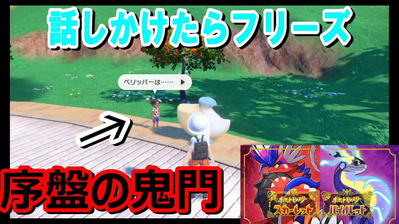 【初狩り】プラトタウンのペリッパーに話しかけたらフリーズするバグとその対処方法！