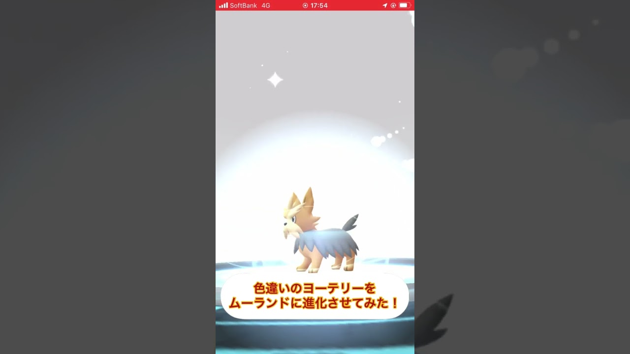 色違いのヨーテリーをムーランドに進化させてみた！　#ポケモンGO #色違い
