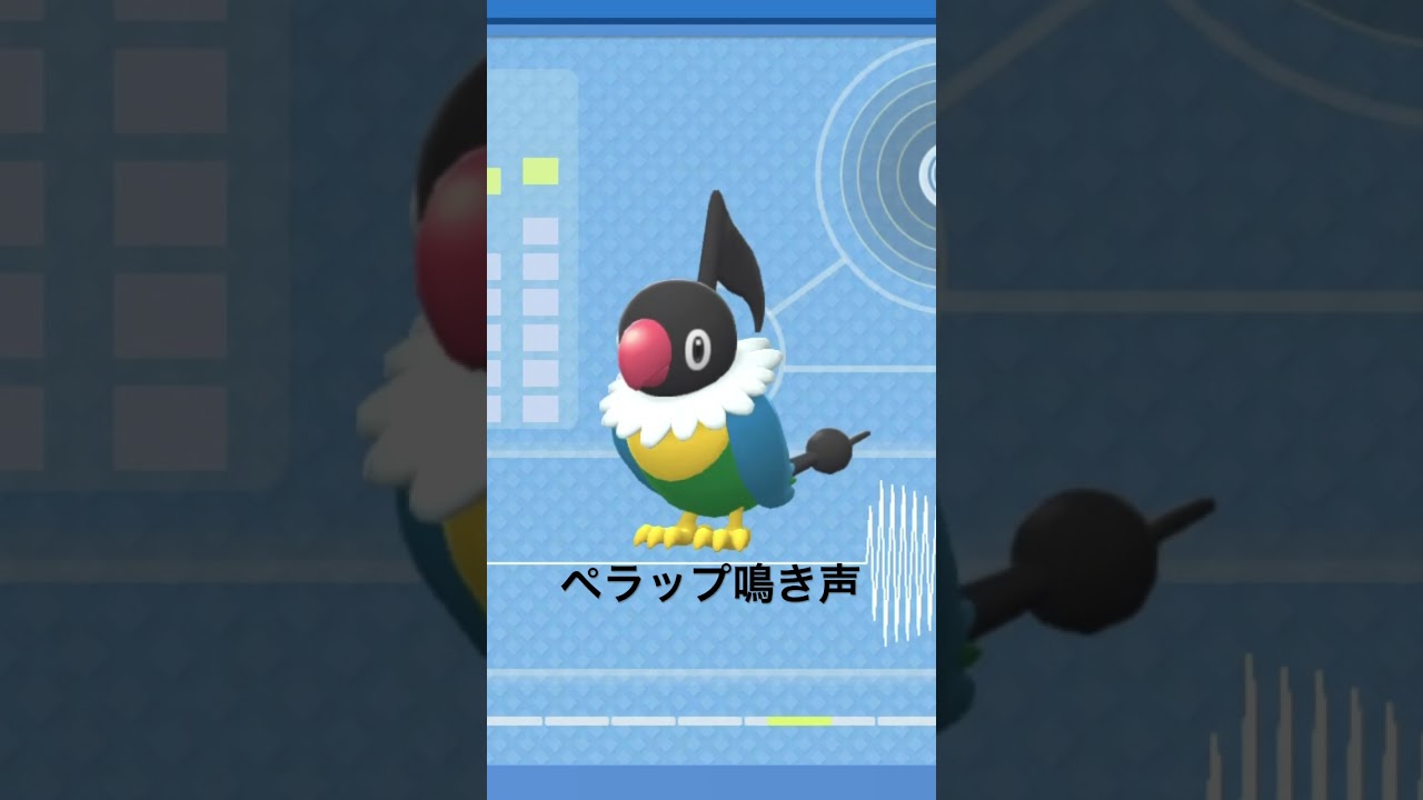 BDSP【シンオウ図鑑NO102】ペラップ（Chatot）鳴き声（barking）#ポケモン鳴き声 #図鑑コンプ #ブリリアントダイヤモンド #シャイニングパール#第四世代鳴き声#Chatot
