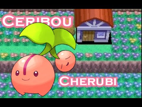 Shiny Ceribou / Cherubi / Cherinbo