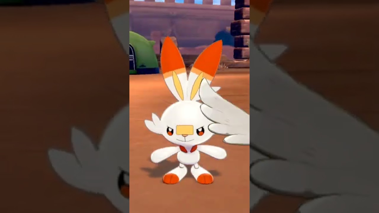 ポケじゃらしで遊ぶヒバニー　#Shorts