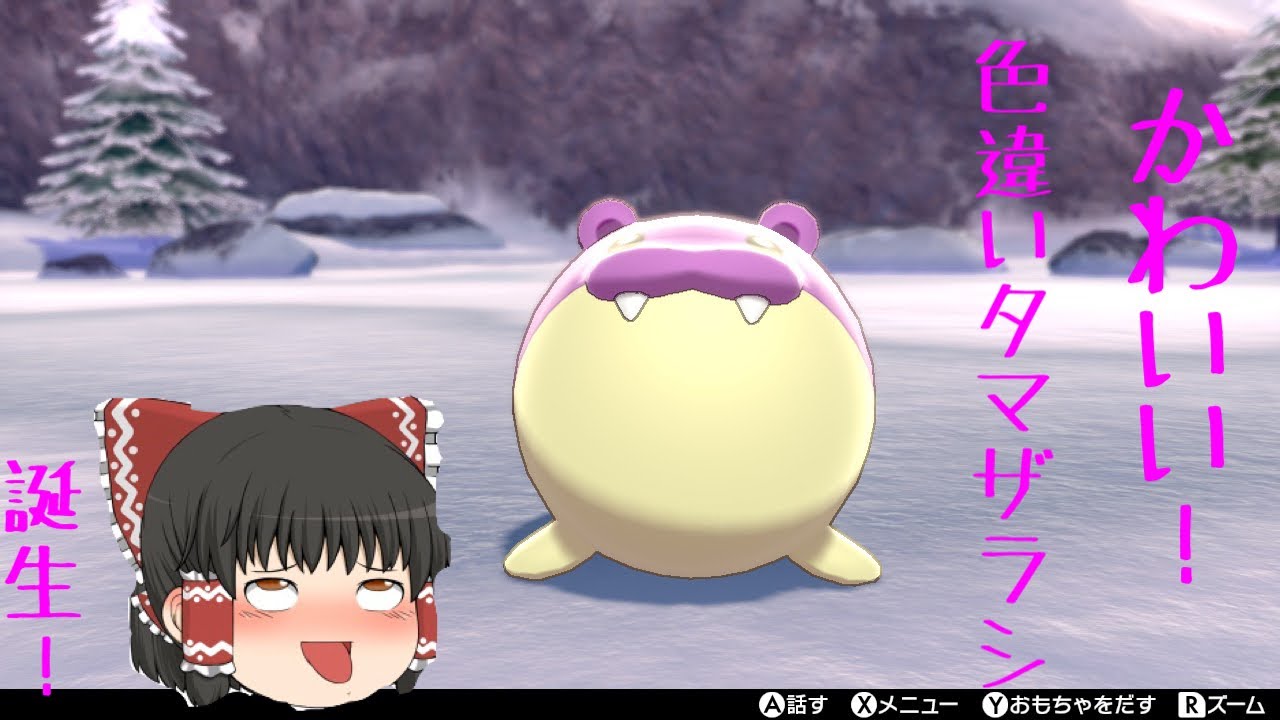【ポケモン色違い】丸くて可愛い！色違いタマザラシ誕生！！ ゆっくり実況
