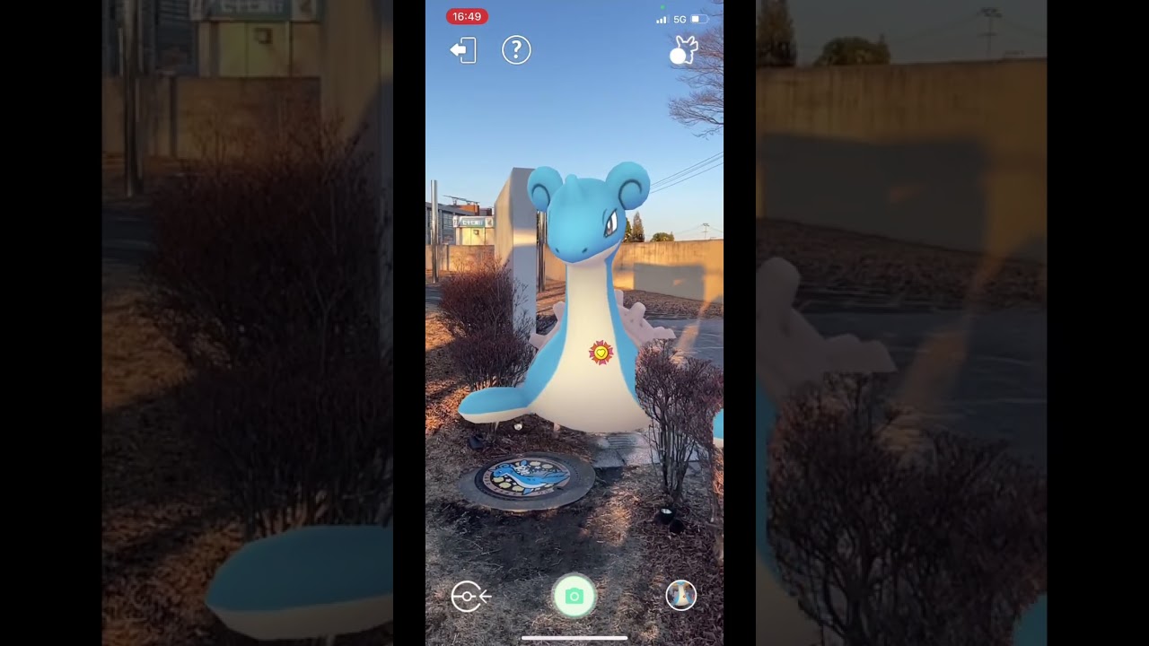 ラプラス&マイナンとポケふたAR撮影♡#ポケモンgo #ポケふた #宮城県　#チェリム　#PokémonGO