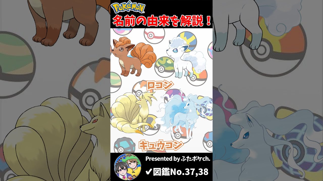 ポケモン名の由来『ロコン・キュウコン』 #Shorts