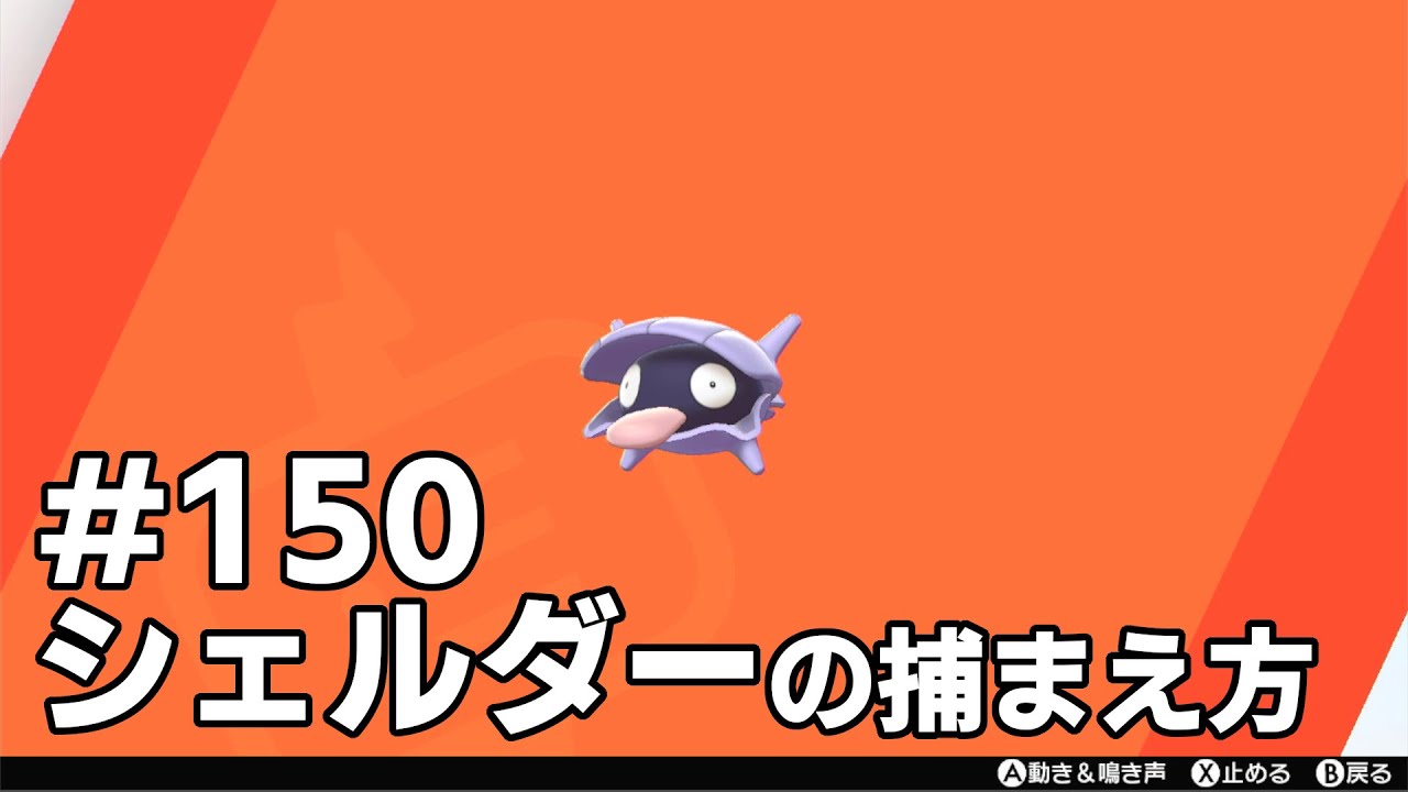 シェルダーを探している方に見てほしい動画