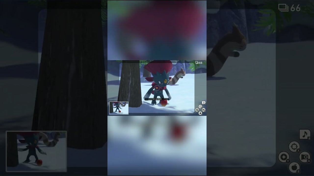 【Newポケモンスナップ NEW POKÉMON SNAP】クールビューティ マニューラ #shorts