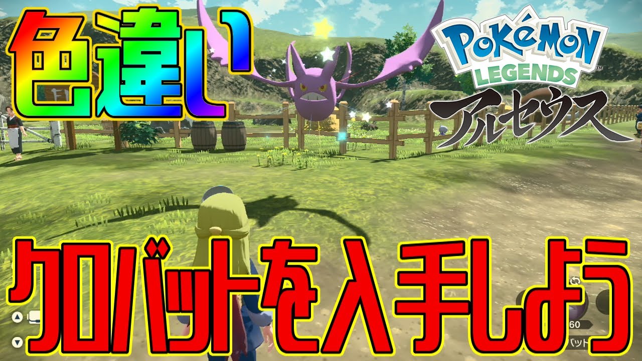【ポケモンアルセウス】色違いクロバットを入手しよう 進化入手【Pokémon LEGENDS アルセウス】