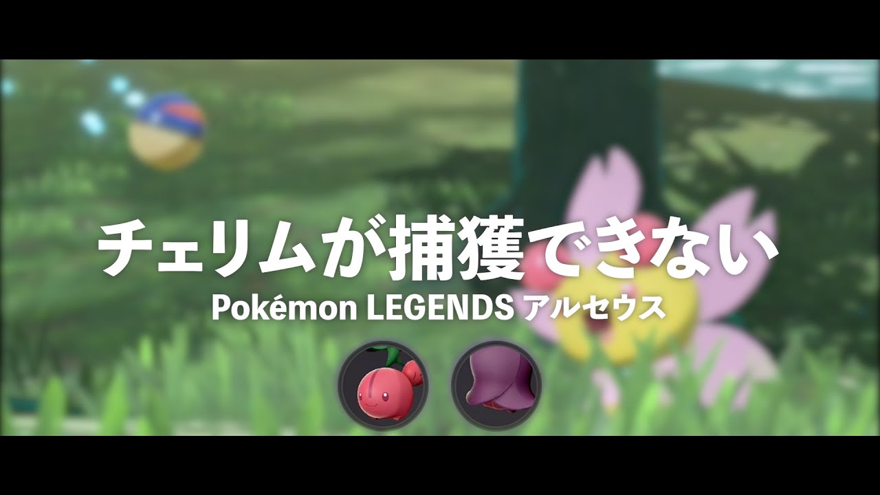 【Pokemon LEGENDS】チェリムが捕獲できない不具合を知らず完全敗北