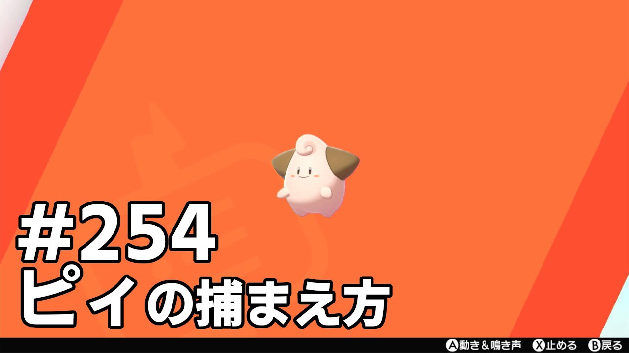 ピィを探している方に見てほしい動画