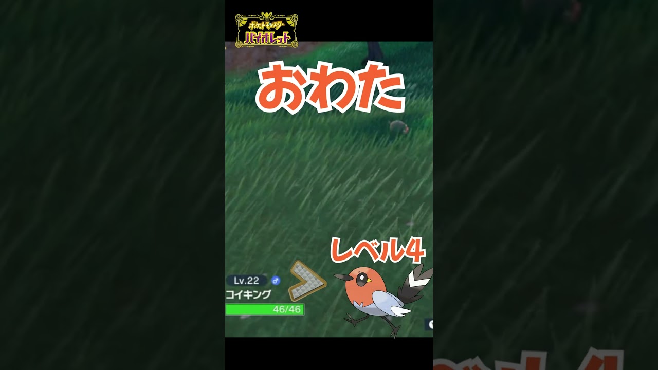 ヤヤコマに奇跡が舞い降りて来なかった結果【ポケットモンスターバイオレット】#shorts