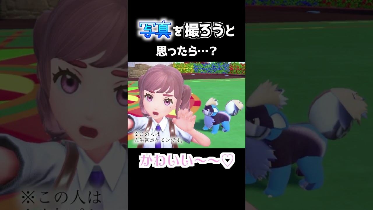 色違いガーディってこんな色だったっけ【ポケモンSV】#shorts #バグ