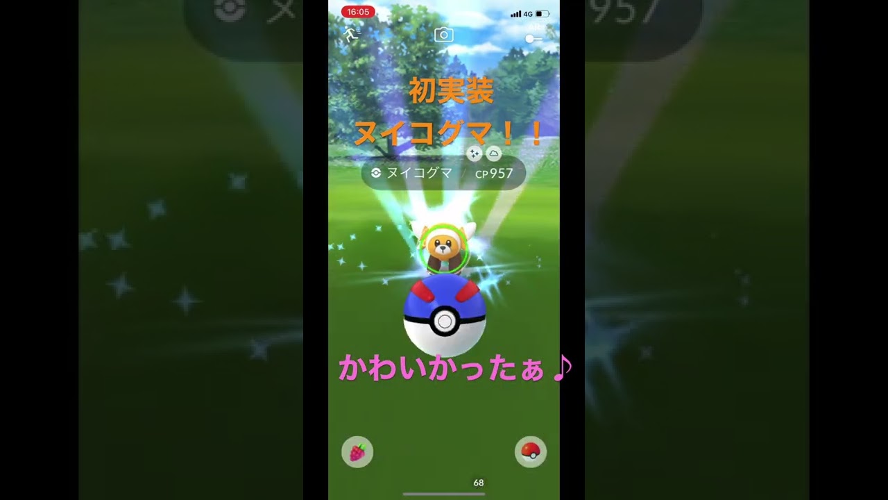 コミュニティデイ、楽しんだ？#ポケモンgo #ゲットチャレンジ #色違い #ヌイコグマ