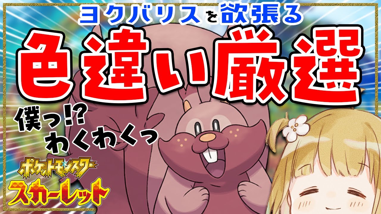 【ポケモンSV】ヨクバリスを欲張る🐿！？大好きなヨクバリスの色違い厳選【耐久 | ライブ】