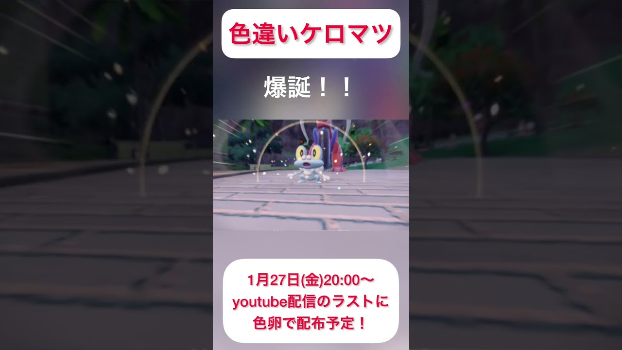 【ポケモンSV】色違いケロマツ色卵配布！　#ポケモン配布 #ポケモンsv