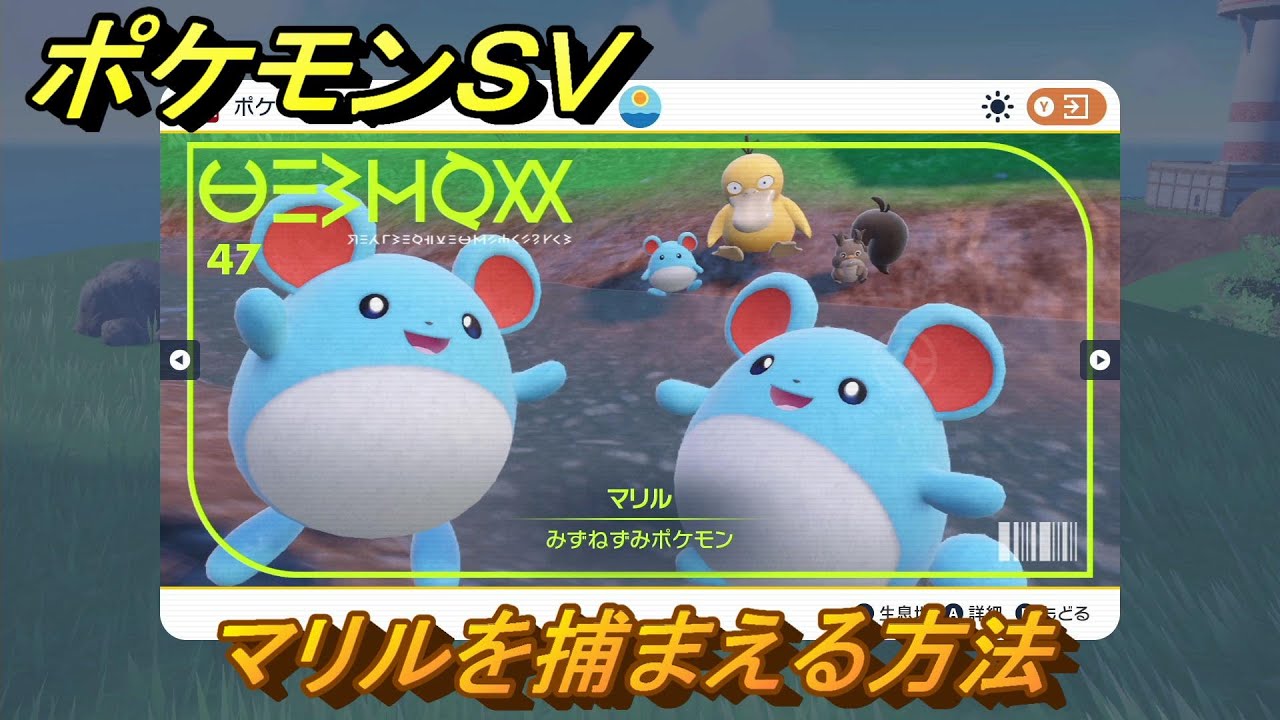 ポケモンＳＶ　マリルを捕まえる方法！出現場所は？図鑑No.４７　ポケモン図鑑を埋めよう！　【スカーレット・バイオレット】