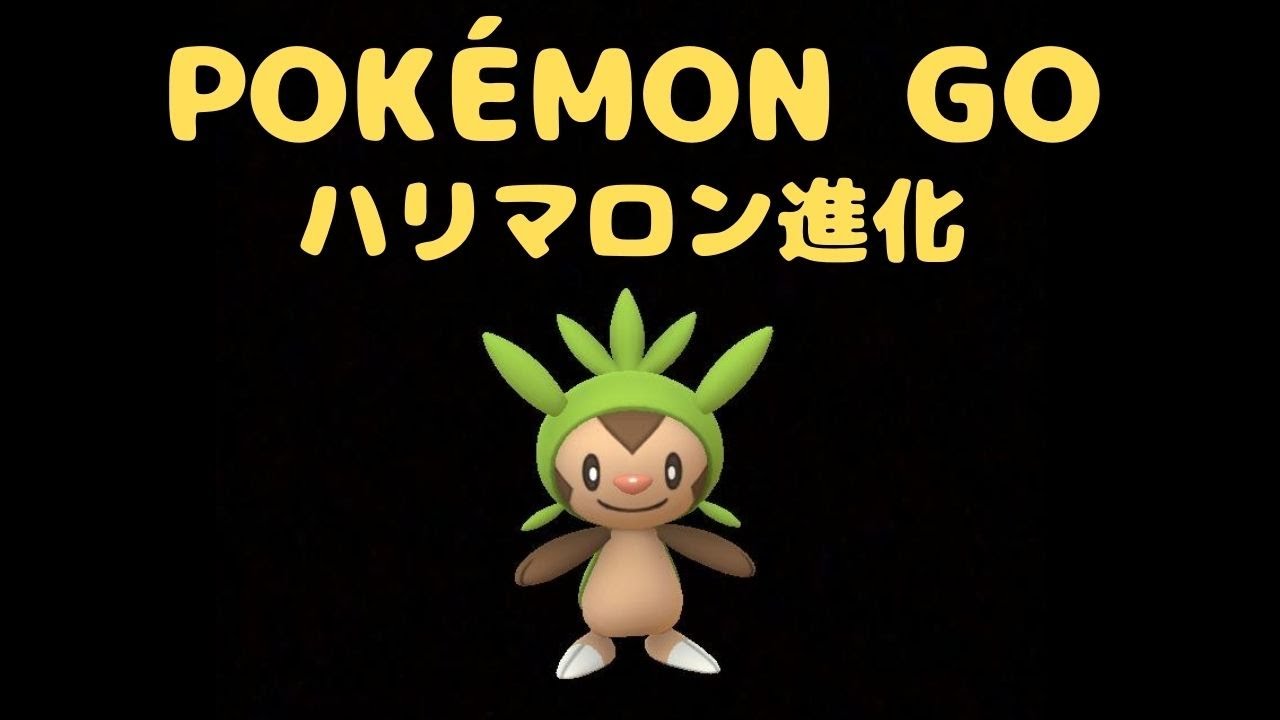 【ポケモンGO】【POKEMON GO】進化　ハリマロン（カロス）