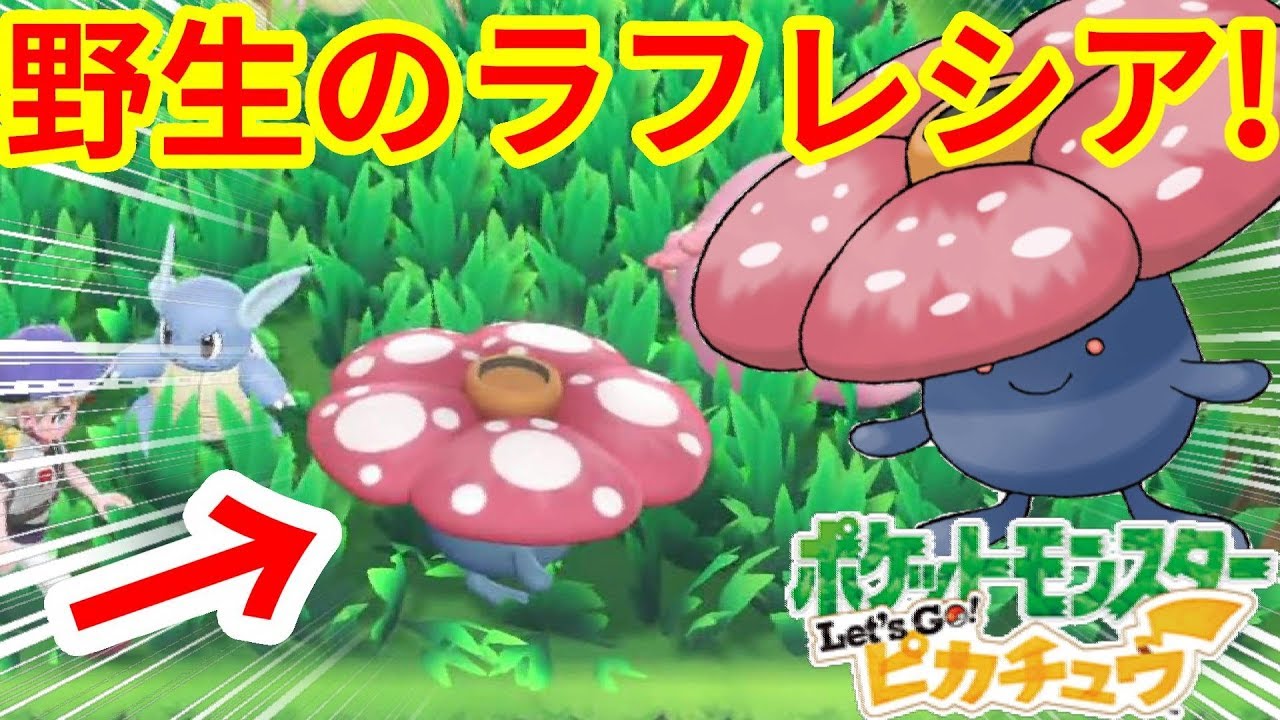 野生のラフレシア！ピカチュウ限定ポケモンだって野生で出る！【ポケモンLet'sGO！ピカチュウ】