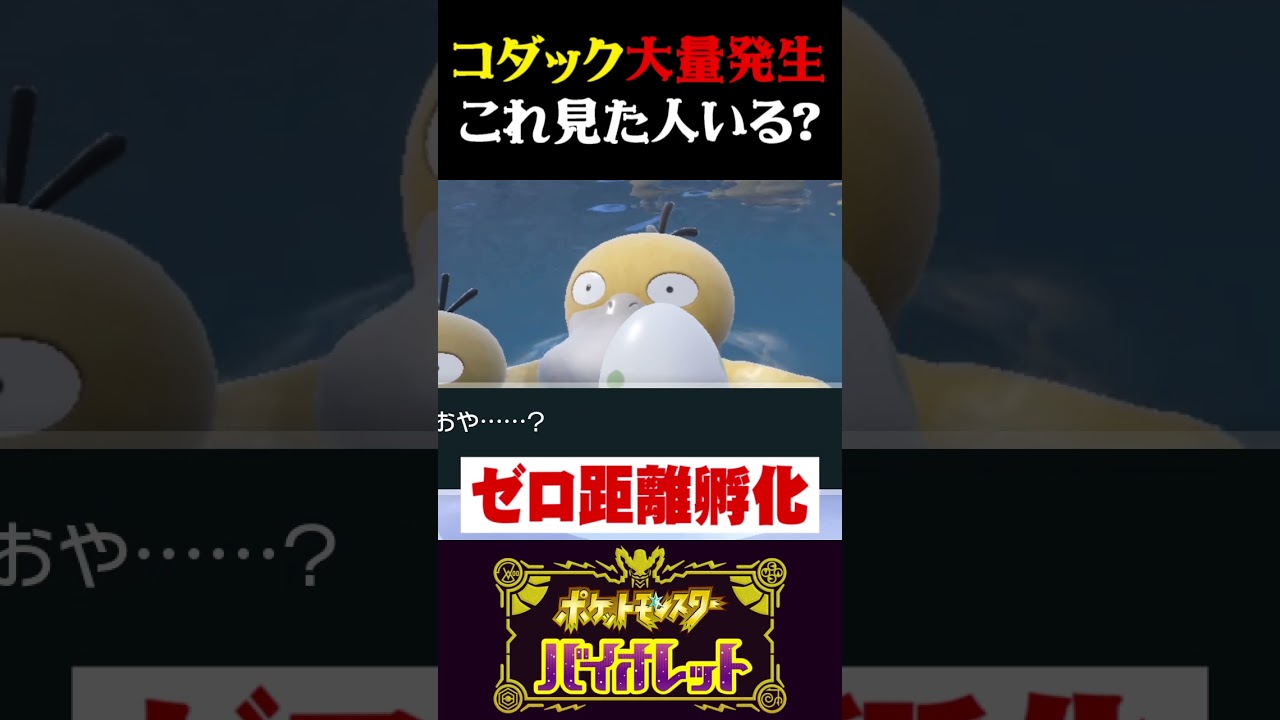 【見た事ある？】コダック大量発生の絵面がカオスすぎて酷いww【ポケモンSV】【スカーレット・バイオレット】【うさごん】