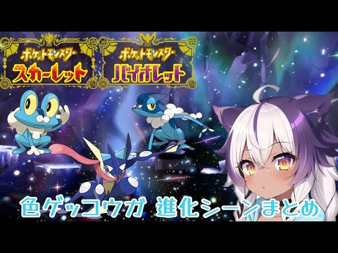 【ポケモンSV】色違いケロマツ→ゲコガシラ→ゲッコウガ【ポケットモンスタースカーレットヴァイオレット】