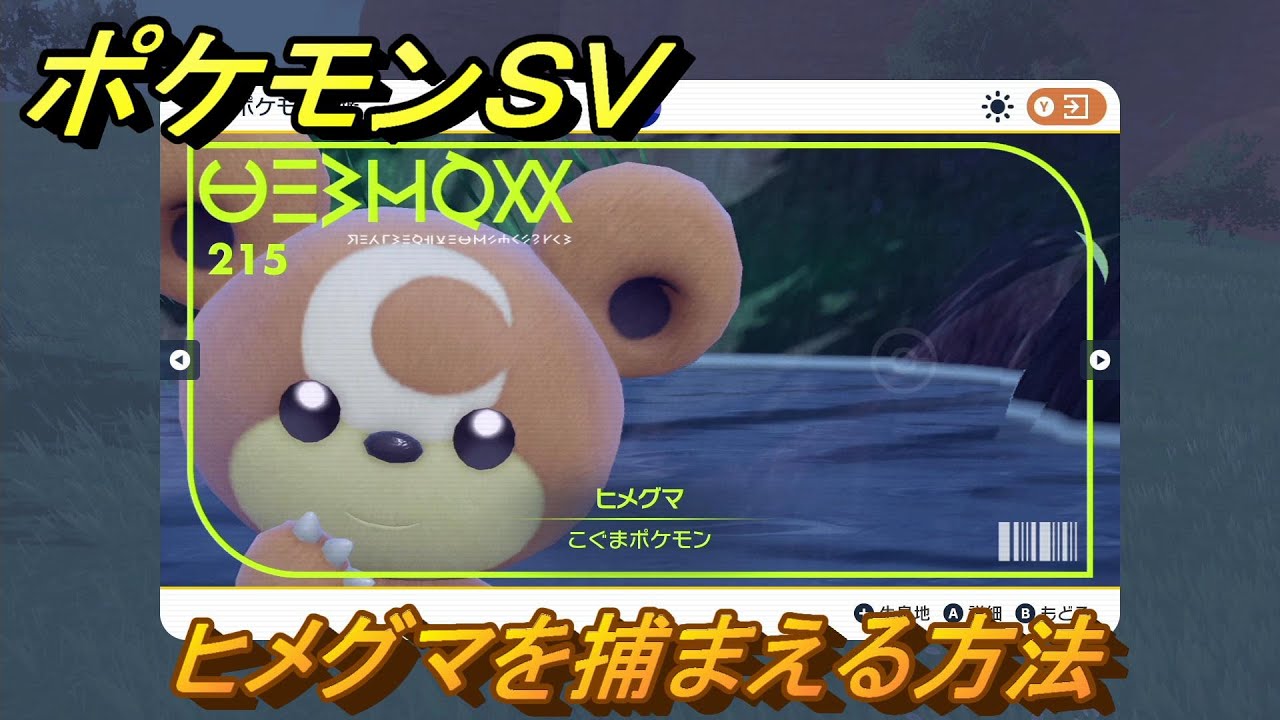 ポケモンＳＶ　ヒメグマを捕まえる方法！出現場所は？図鑑No.２１５　ポケモン図鑑を埋めよう！　【スカーレット・バイオレット】