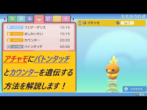 【ポケモン　ダイパリメイク】アチャモにバトンタッチとカウンターを遺伝する方法！【ポケモンBDSP】